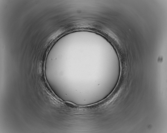 X0000096670777200802261451