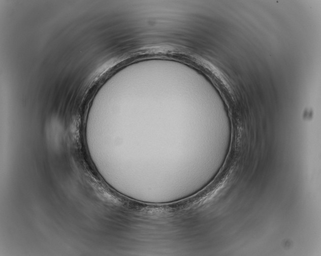 X0000096670778200802261451