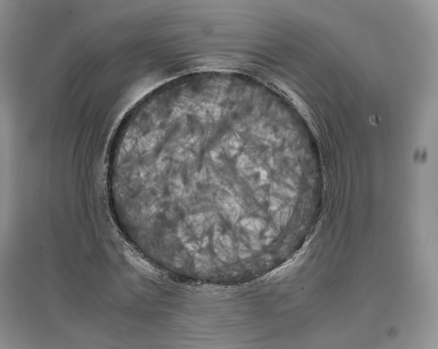 X0000096670779200802261451