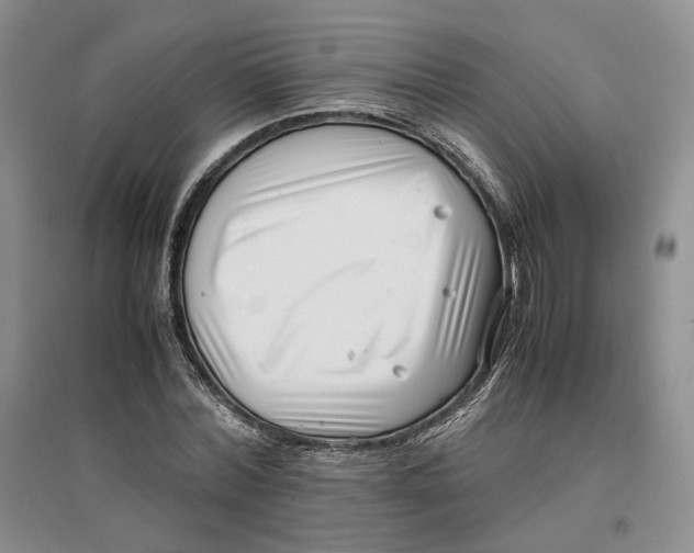 X0000096670780200802261451