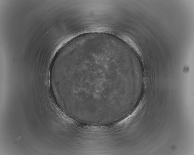 X0000096670781200802261451