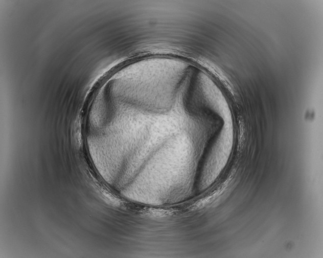 X0000096670782200802261451