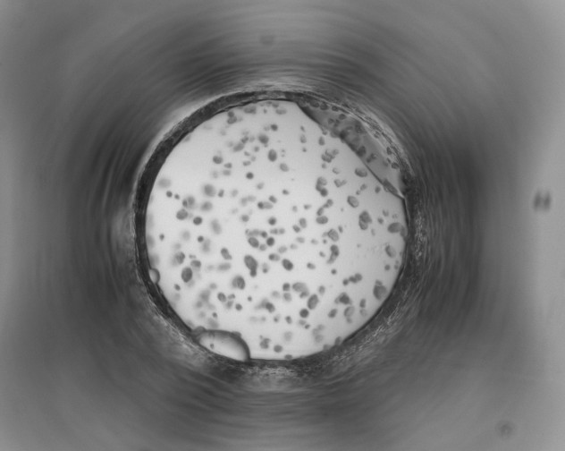 X0000096670784200802261451