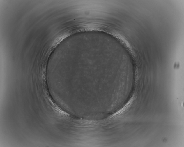 X0000096670785200802261451