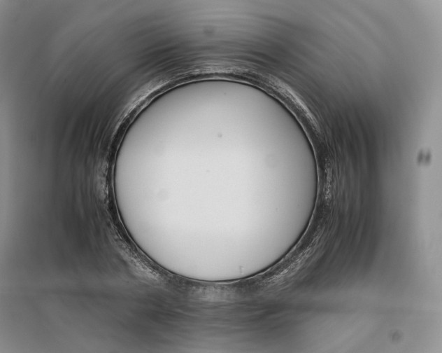 X0000096670786200802261451