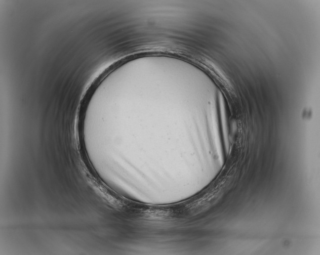 X0000096670788200802261451