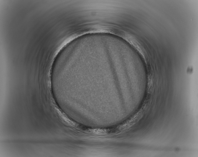 X0000096670789200802261451