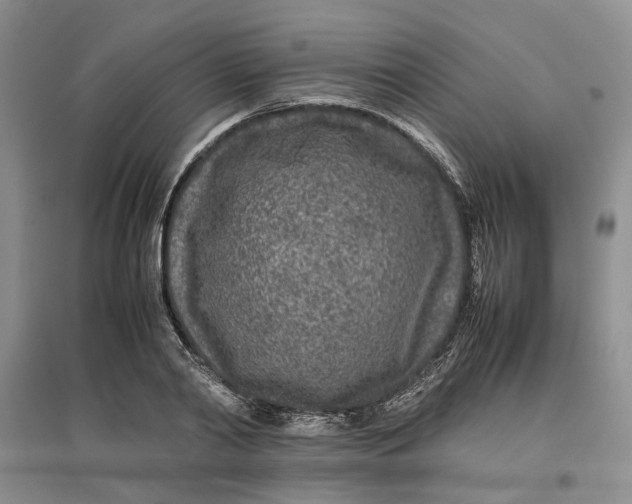 X0000096670790200802261451