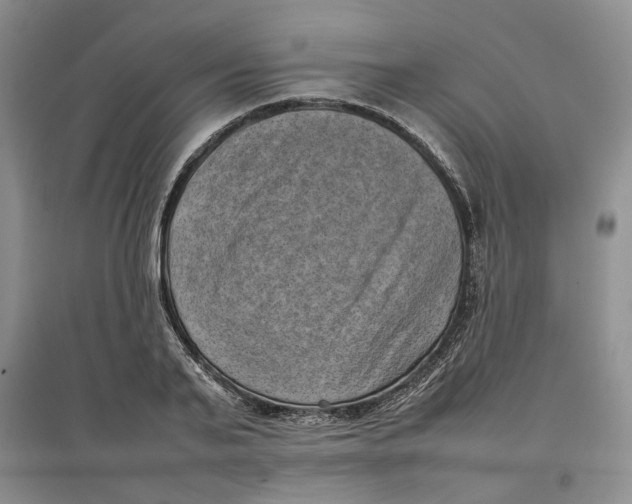 X0000096670791200802261451