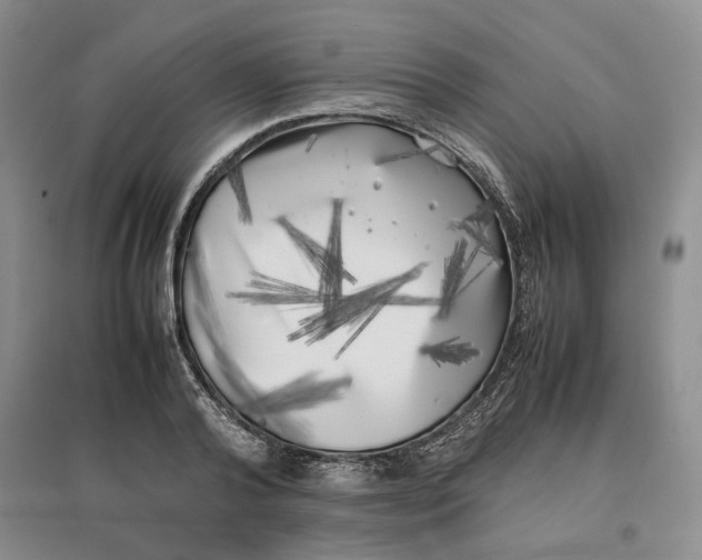 X0000096670792200802261451