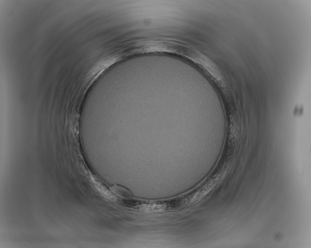 X0000096670793200802261451