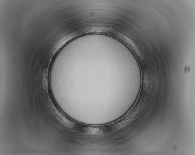 X0000096670794200802261451