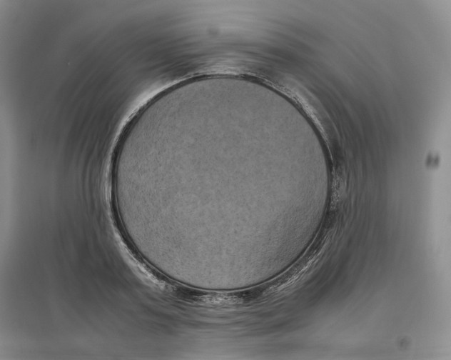 X0000096670795200802261451