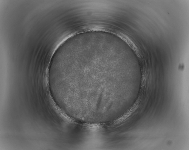 X0000096670798200802261451