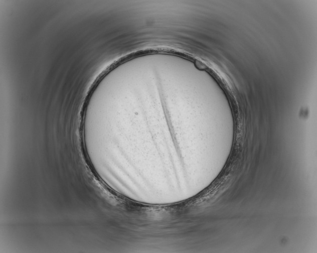 X0000096670799200802261451