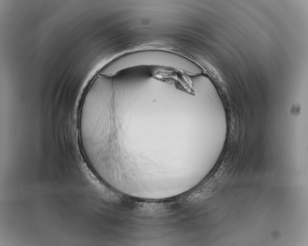 X0000096670800200802261451