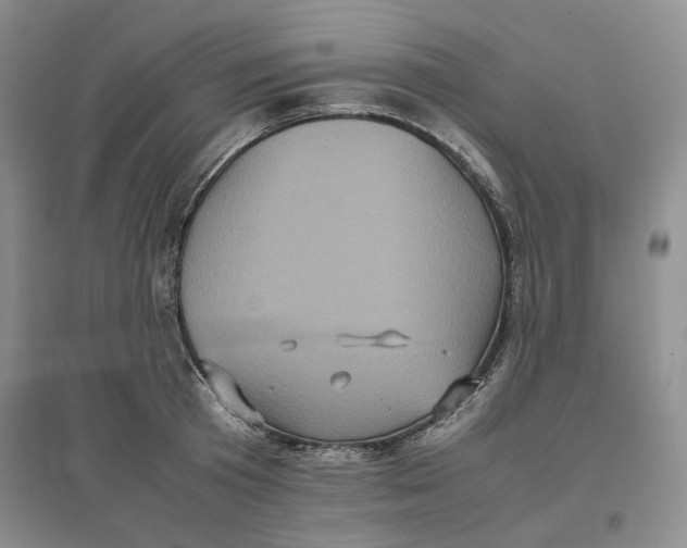 X0000096670801200802261451