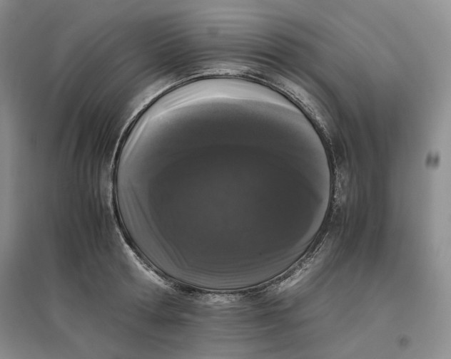 X0000096670802200802261451