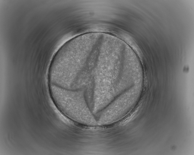 X0000096670803200802261451