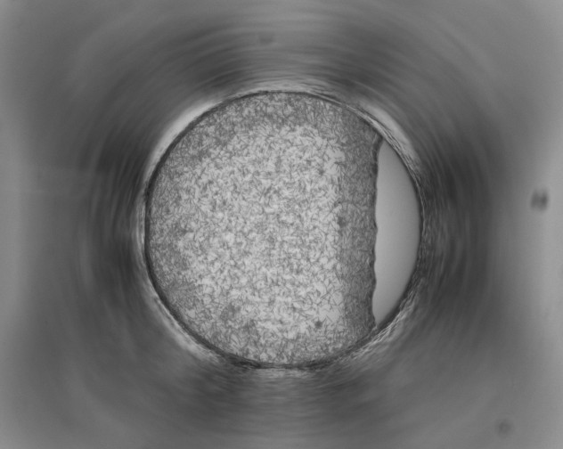 X0000096670804200802261451