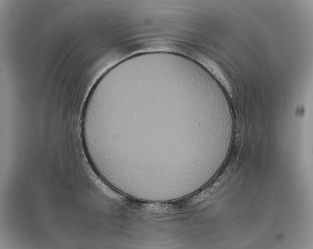 X0000096670805200802261451