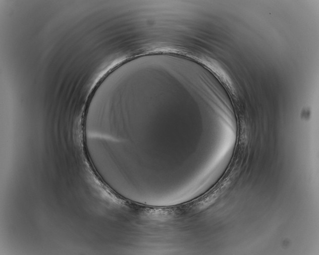 X0000096670806200802261451