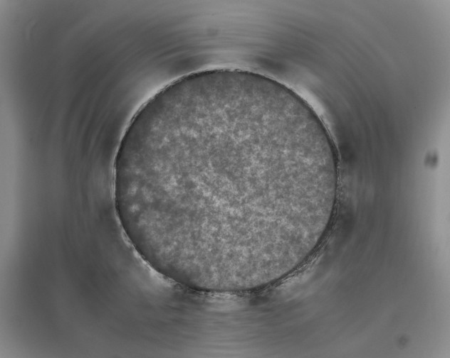 X0000096670807200802261451