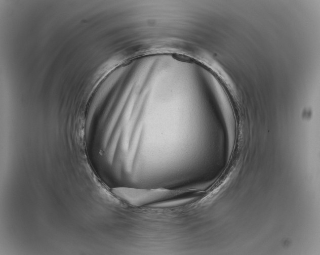 X0000096670809200802261451