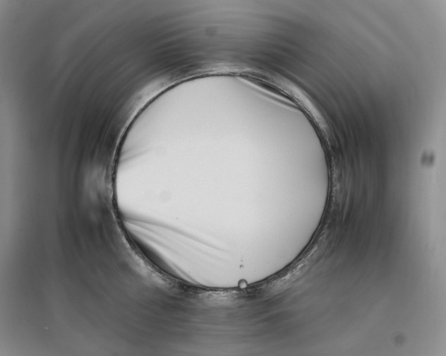 X0000096670810200802261451