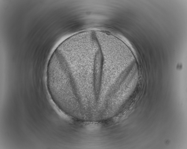 X0000096670811200802261451