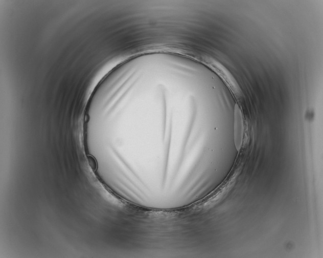 X0000096670812200802261451