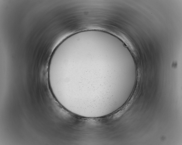 X0000096670814200802261451