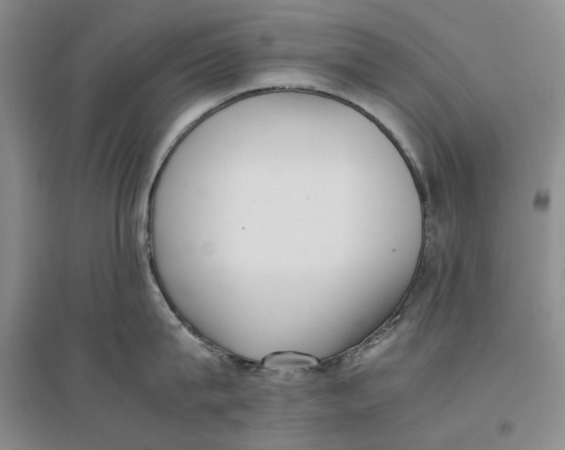 X0000096670815200802261451