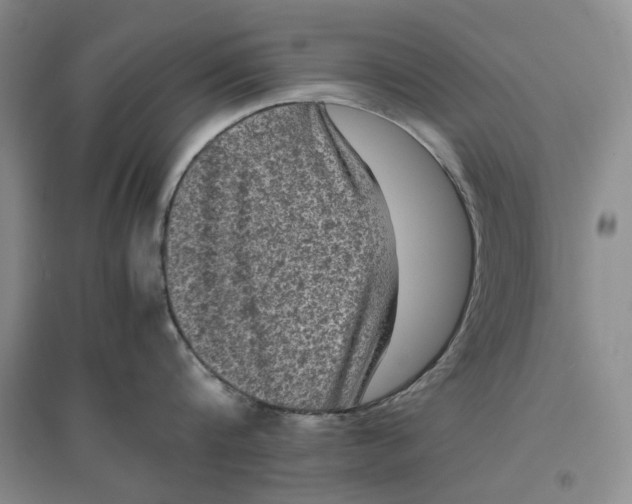 X0000096670816200802261451