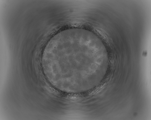 X0000096670817200802261450