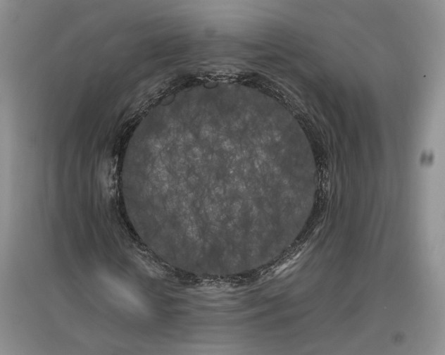 X0000096670818200802261450