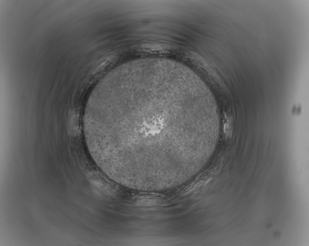 X0000096670819200802261450