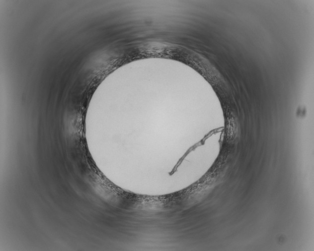 X0000096670820200802261450