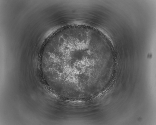 X0000096670823200802261450