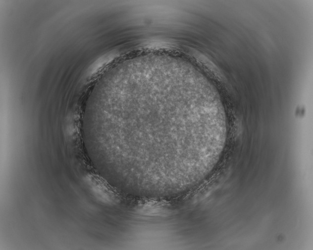 X0000096670824200802261450