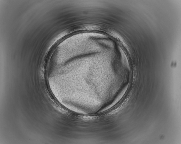 X0000096670827200802261450