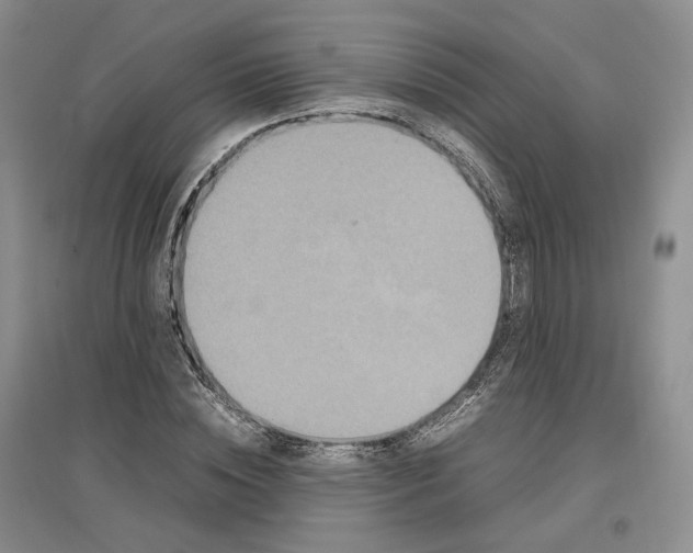 X0000096670828200802261450