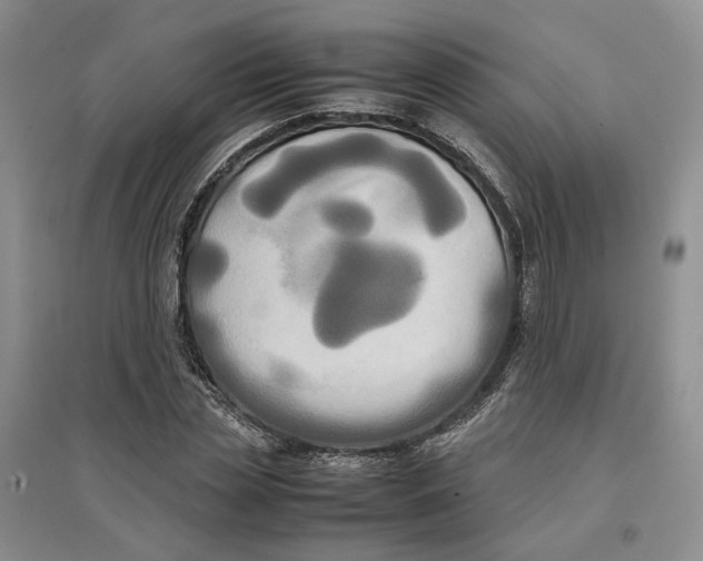 X0000096670829200802261450