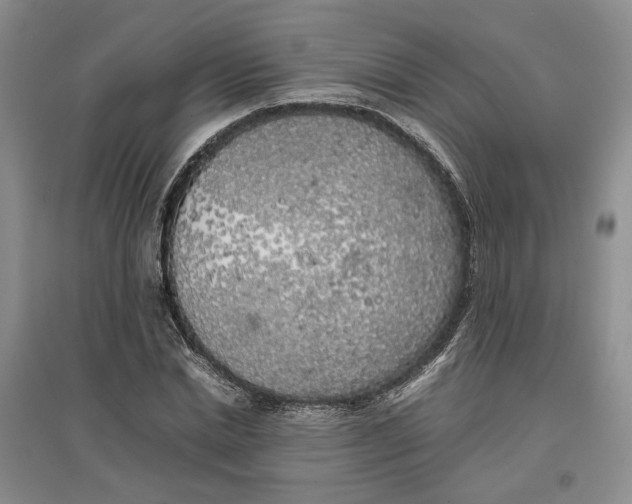 X0000096670830200802261450