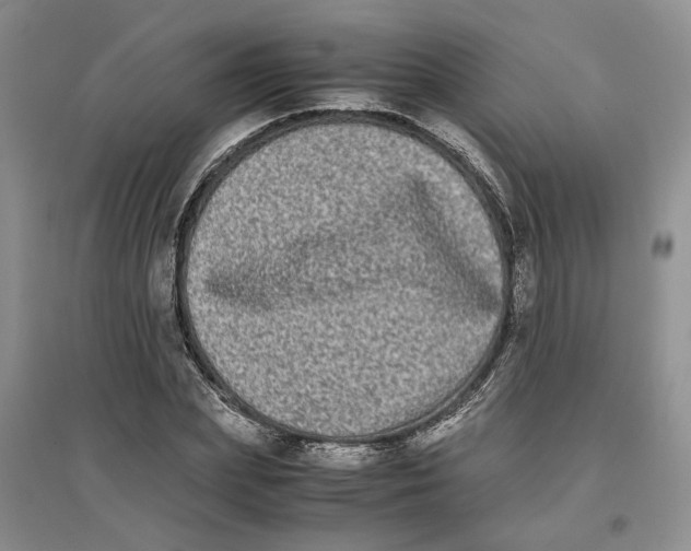 X0000096670831200802261450