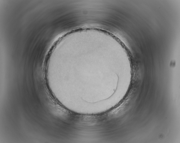 X0000096670832200802261450