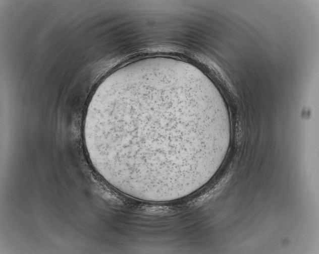 X0000096670833200802261450