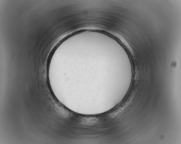 X0000096670837200802261450