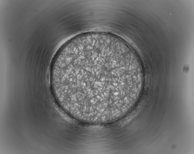 X0000096670838200802261450