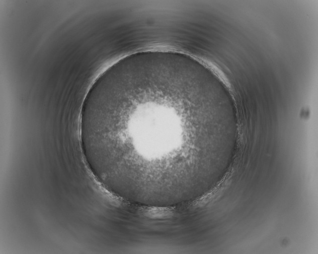 X0000096670839200802261450